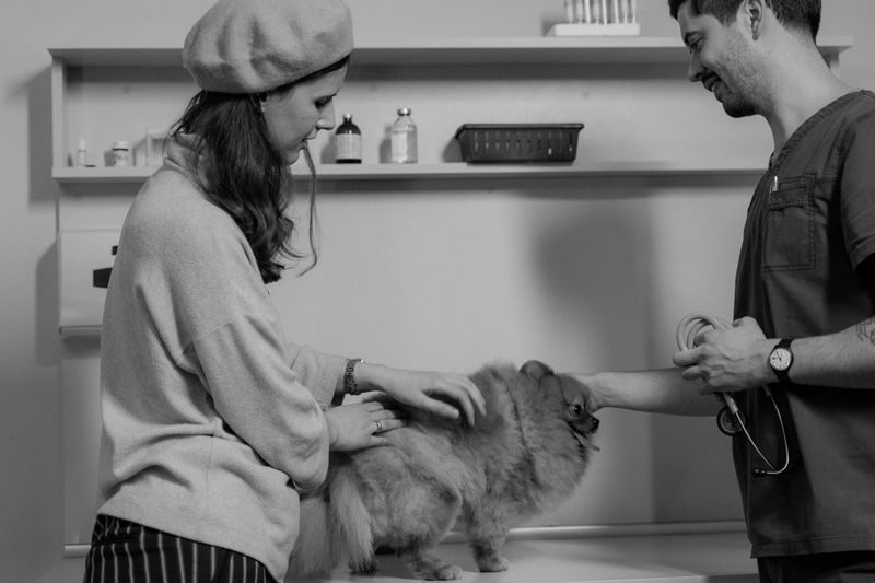A woman steadying her long-haired dog on the consulting table while a veterinarian listens with a stethoscope